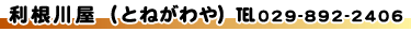 とねがわや